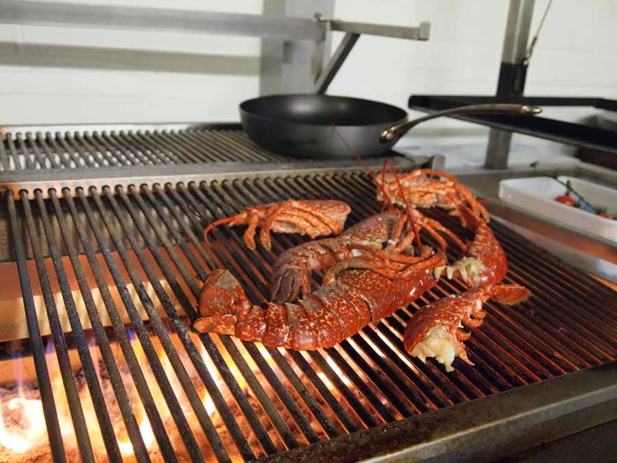 Mega Flame Grill - 